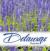Image: Visit Delaware Tourism