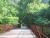 Image: Visit Alapocas Run and Wilmington State Parks