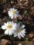 Image: Visit   Lums Pond State Park