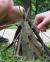 Visit White Clay Creek State Park Image: Visit White Clay Creek State Park