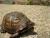 Visit White Clay Creek State Park Image: Visit White Clay Creek State Park